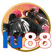 lu88
